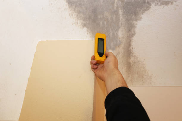 Best Airborne Mold Testing  in Alamo, NV