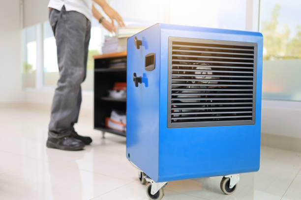 Best Biohazard Mold Removal  in Alamo, NV