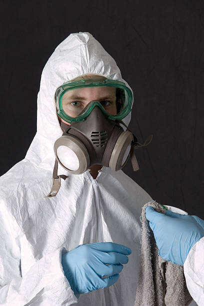 Best Post-Remediation Verification Testing  in Alamo, NV